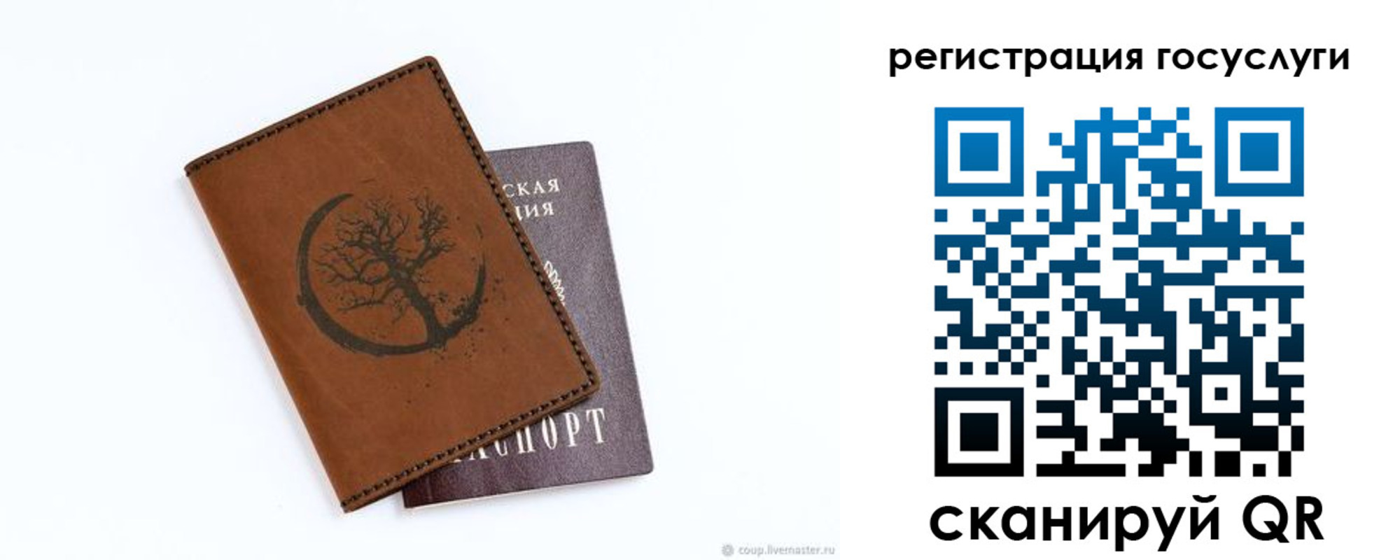 прописка для школы в Тихорецке